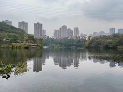-重庆彩云湖湿地公园