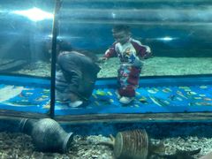 -福州罗源湾海洋世界旅游区