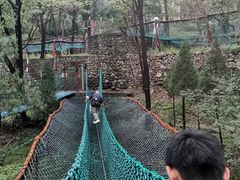 -原山国家森林公园