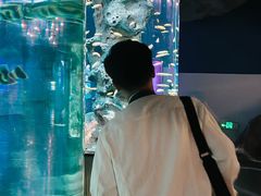 -福州罗源湾海洋世界旅游区