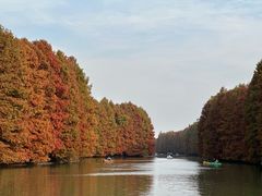 -上海海湾国家森林公园