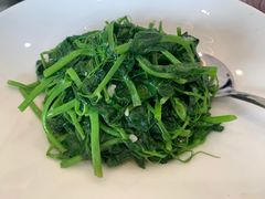 -食神鱼头佛跳墙(百子湾旗舰店)