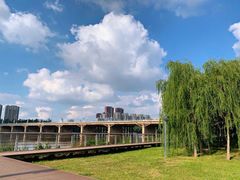 -长白岛森林公园