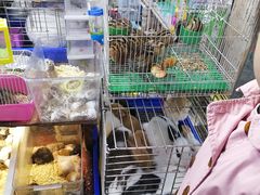 -万商花鸟市场