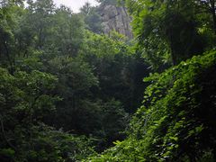 -大岭沟猕猴桃谷风景区