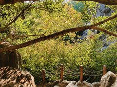 -金鸡山公园