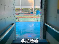 -清华大学-陈明游泳馆