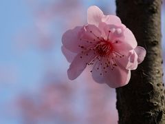 -白塘生态植物园