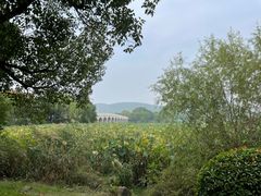 -云龙湖旅游景区