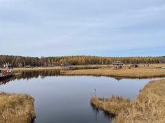 -塞罕坝国家级自然保护区