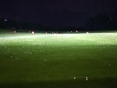 练习场-棕榈泉国际高尔夫学院