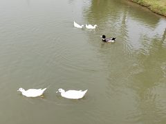 -深圳大学(丽湖校区)