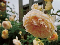 -祥源·阜阳生态乐园