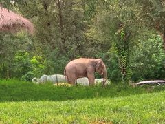 -北京野生动物园