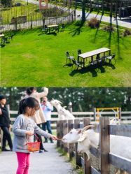 -小蜜蜂农场(凯德七宝购物广场店)