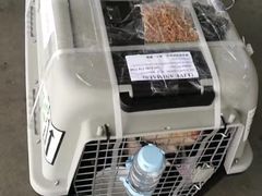 -申普宠物医院·心脏介入·心血管微创(总院)