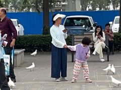 -天津妈祖文化园