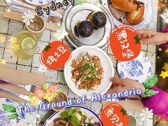 -The Grounds of Alexandria