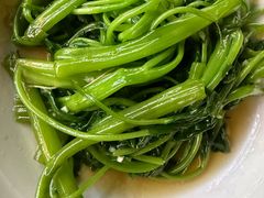 -广达眼镜炖罐(广达店)