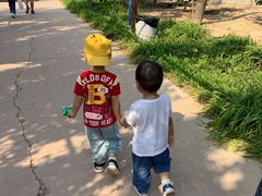 -呀路古热带植物园