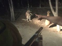 -清迈夜间动物园