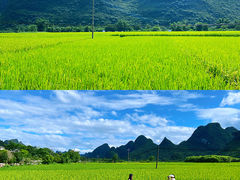 -村上春树