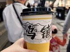 -乌镇东栅景区