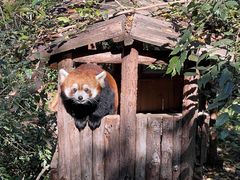 -昆明动物园
