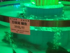 -年辉渔村