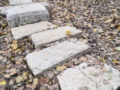 -仁和公园(顺义区)