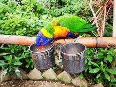 -南宫五洲植物乐园