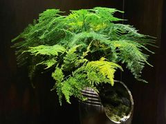 -足本纪·足道 SPA 简餐 小吃(文三西路店)