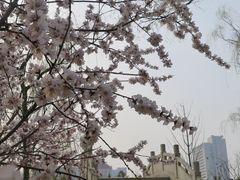 -迎泽公园