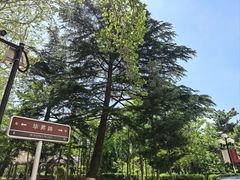 -山东大学学府大酒店(千佛山地铁站店)