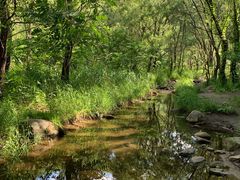-碓臼峪自然风景区
