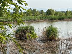 -野鸭湖国家湿地公园