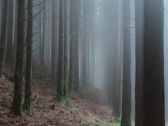 -山王坪喀斯特国家生态公园