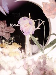 -天邑国际酒店·宴会厅