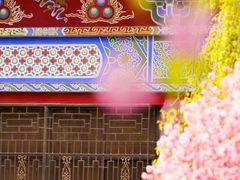 -张掖大佛寺景区