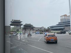-张氏北相羊肉胡卜(八一店)