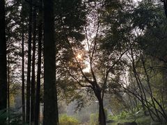 -重庆彩云湖湿地公园