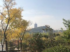 -永定河休闲森林公园