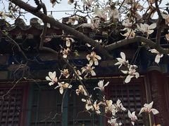-潭柘寺景区