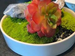 -三利音·浦之舟(滨江大道店)