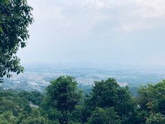 -火炉山森林公园