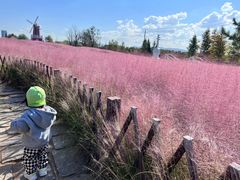 -羊亭河湿地公园