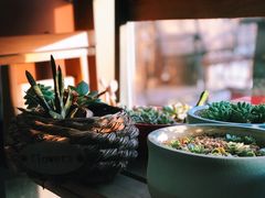 -一米阳光咖啡店(百通尚风尚水店)