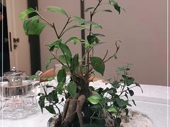 -御仙都北京菜馆·烤鸭店(双井店)