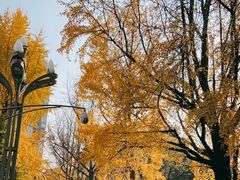 -四川大学(华西校区)