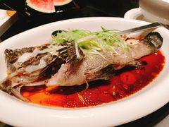 清蒸老虎斑-徐记海鲜(大明宫|北二环店)